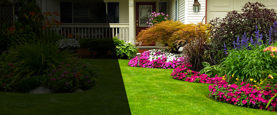 Donalsonville Landscapers