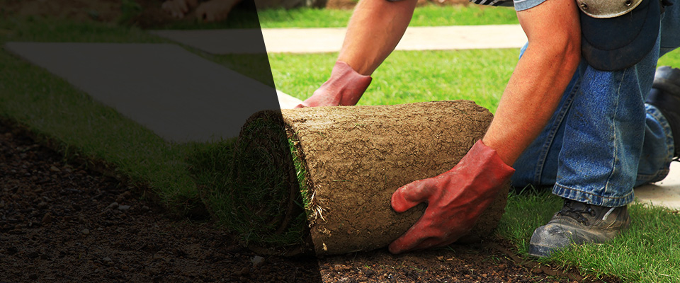 Donalsonville Landscapers